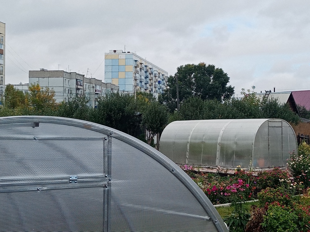 Теплица "Кузбасская" с сотовым поликарбонатом